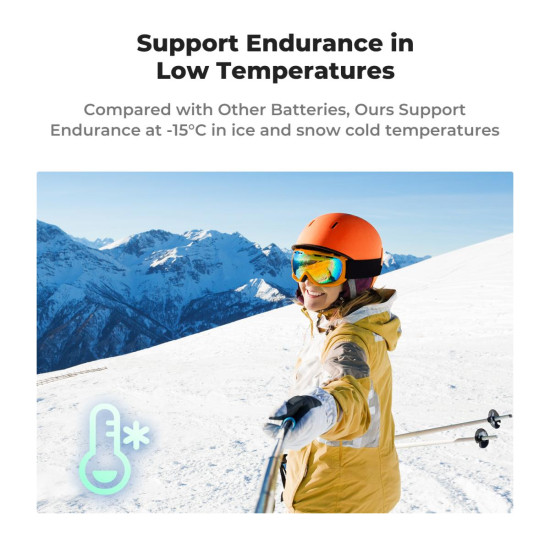 2 Pack 1730mAh Batteries for GoPro Hero 12/11/10/9 Black, with 3-Channel LCD USB Fast Charger